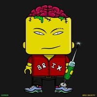 MiniBrix #9419