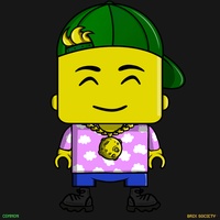 MiniBrix #9461