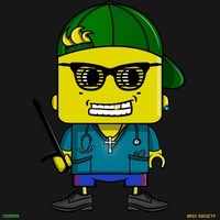 MiniBrix #9558