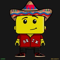 MiniBrix #9580