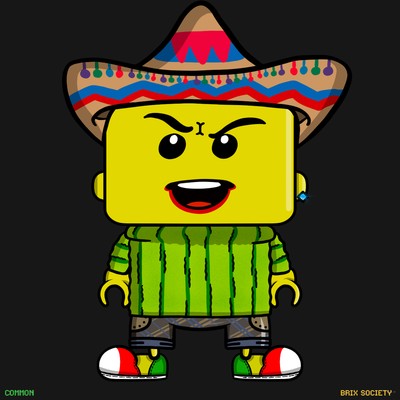 MiniBrix #9591