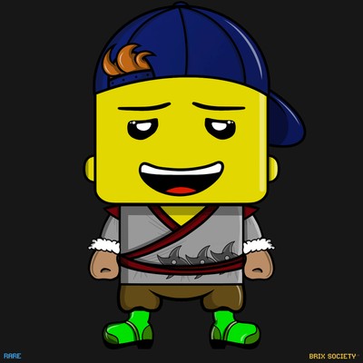 MiniBrix #9664