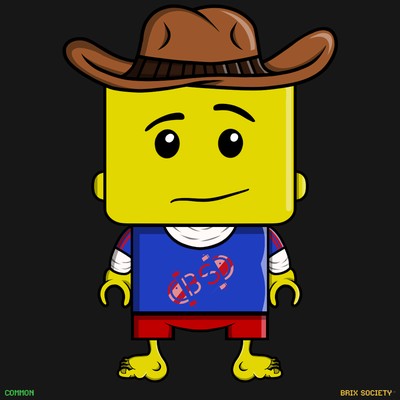 MiniBrix #9700