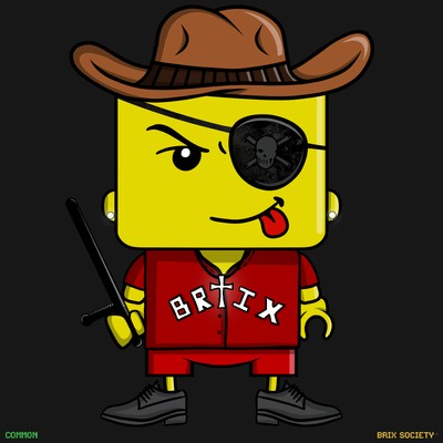 MiniBrix #9707