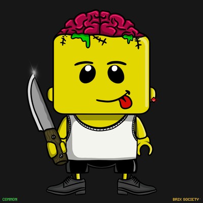 MiniBrix #9734