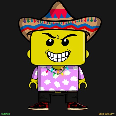 MiniBrix #9748