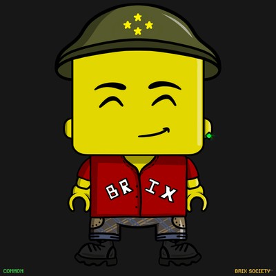 MiniBrix #9749
