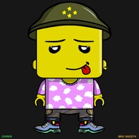 MiniBrix #9775