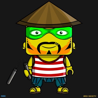 MiniBrix #9784