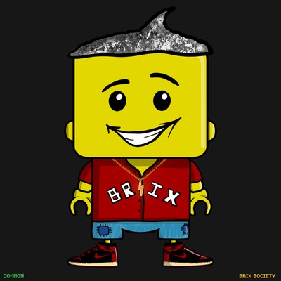 MiniBrix #9790