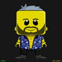 MiniBrix #9799