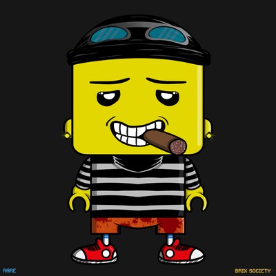 MiniBrix #9811
