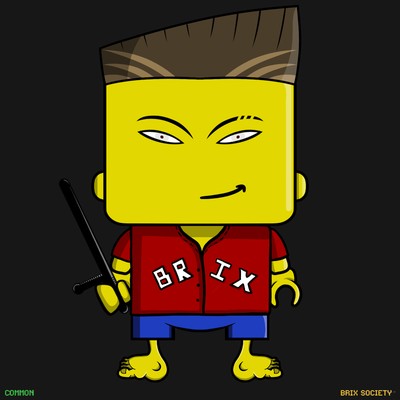 MiniBrix #9825