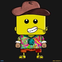 MiniBrix #9829