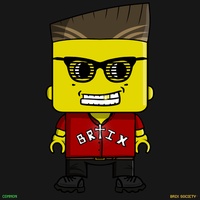 MiniBrix #9850