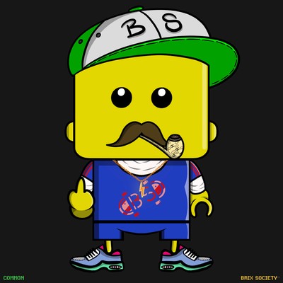 MiniBrix #9868