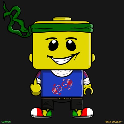 MiniBrix #9894