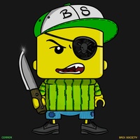 MiniBrix #9895