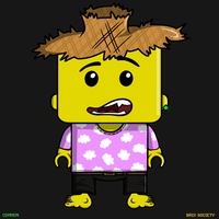 MiniBrix #9913