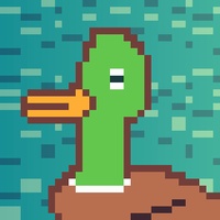 Duck-#1