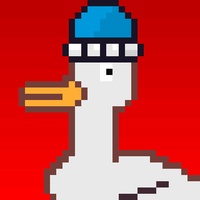 Duck-#437