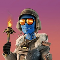vPunk #1080