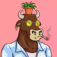 Wax Bull 0184