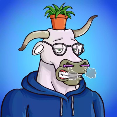 Wax Bull 0946
