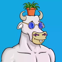 Wax Bull 1702