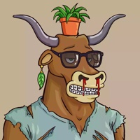 Wax Bull 2112