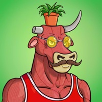 Wax Bull 2333