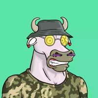 Wax Bull 3580
