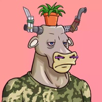 Wax Bull 5527