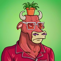 Wax Bull 6554