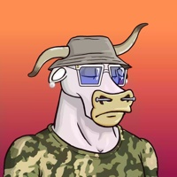 Wax Bull 8364
