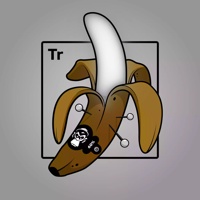 Experimental Banana 00806