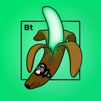 Experimental Banana 01476