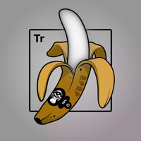 Experimental Banana 02852