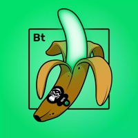 Experimental Banana 02874