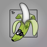Experimental Banana 09486