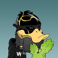 Ducking Fuzz #77