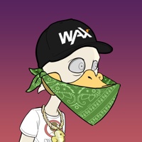 Ducking Fuzz #93