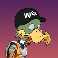 Ducking Fuzz #233