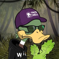 Ducking Fuzz #1272