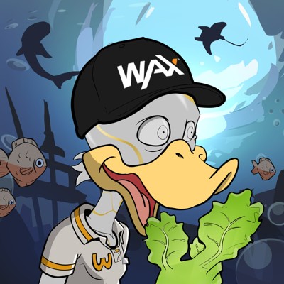 Ducking Fuzz #1755