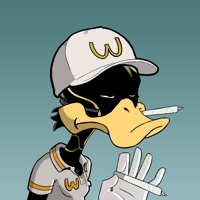 Ducking Fuzz #2003