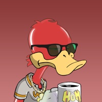 Ducking Fuzz #2040