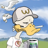 Ducking Fuzz #2405