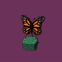 Monarch butterfly chair