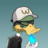 Ducking Fuzz #2995